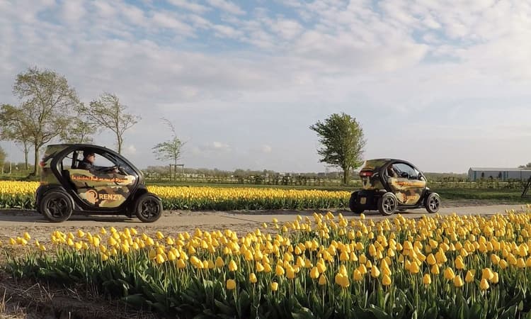 Renzy: Discover the tulip fields up close and in a unique way!