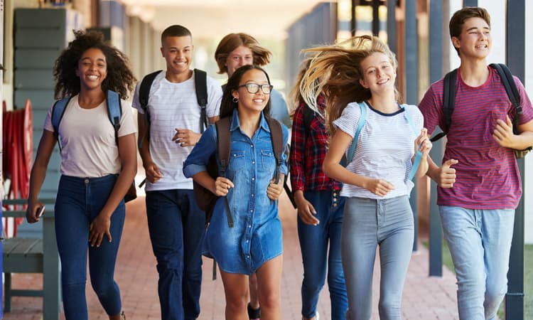 The alternative to international education in the Netherlands