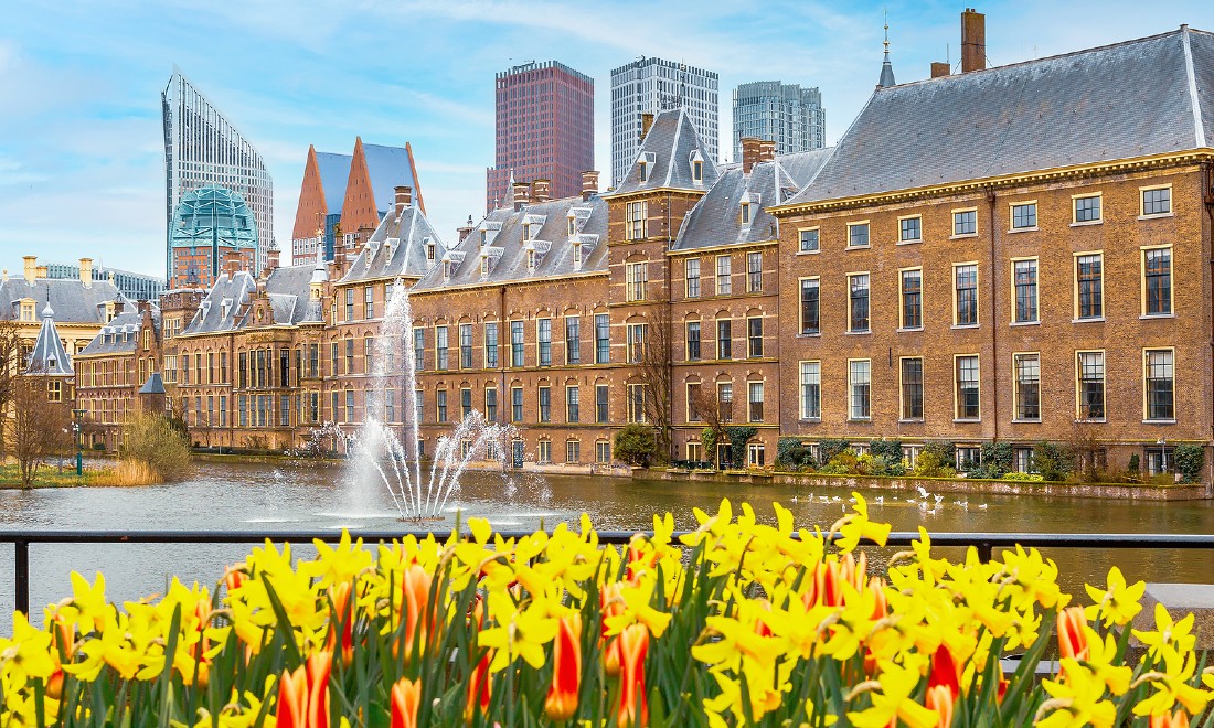 American reporter praises The Hague: “People were having ice cream and talking!”