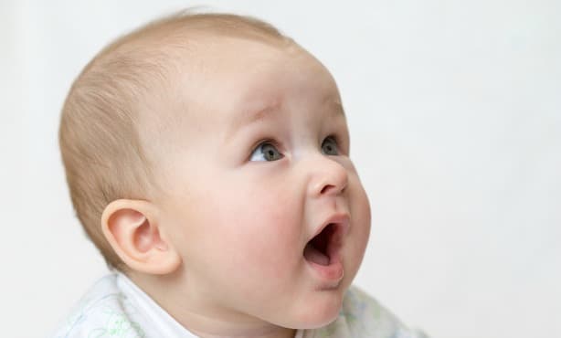 Dutch study shows you never forget your mother tongue