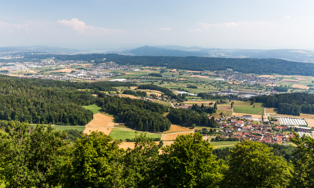 SBB to pilot self-driving public transport service in Canton Zurich