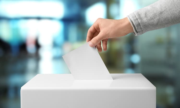 Exercising your democratic rights in the Netherlands