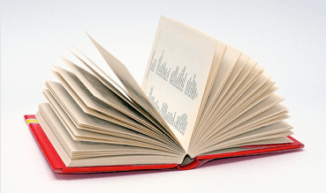 A mostly saucy selection of words vie for Dutch Word of the Year