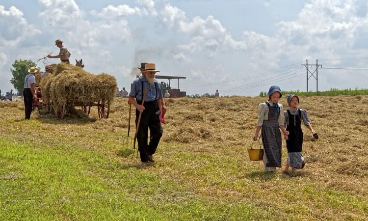 Why are the Pennsylvania Dutch called so when they're actually German?