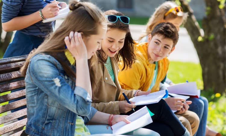 Amsterdam wants all schools to have libraries amidst reading drive