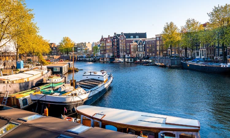 Housing market Covid-19 update for 2021