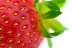 Sensational summer drinks