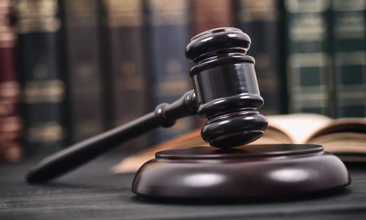 Dutch law in 2021: Here's what's changing from January 1