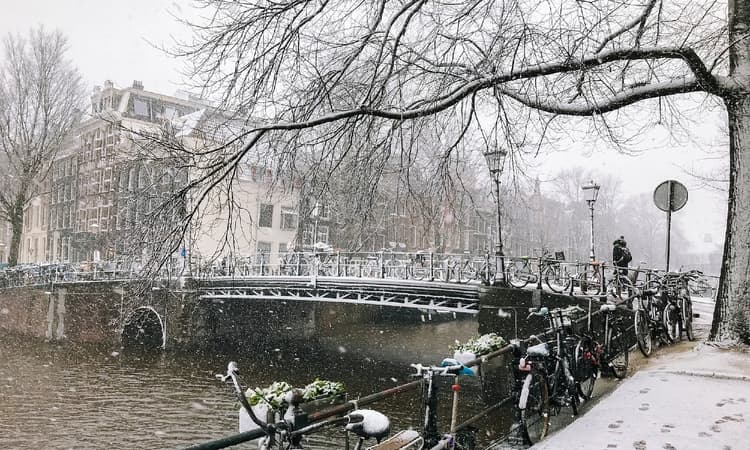 Dreaming of a white Christmas? Try not to get your hopes up