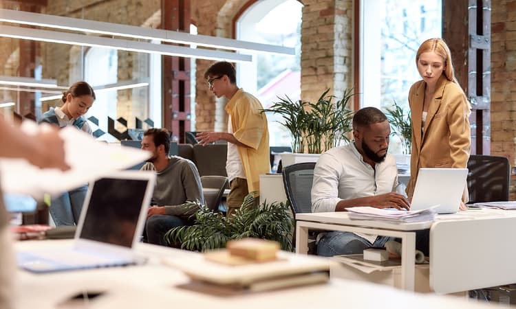 21st century Dutch work culture