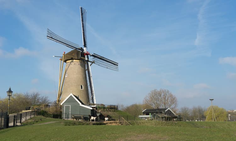 Hoofddorp: The next stop for international families?