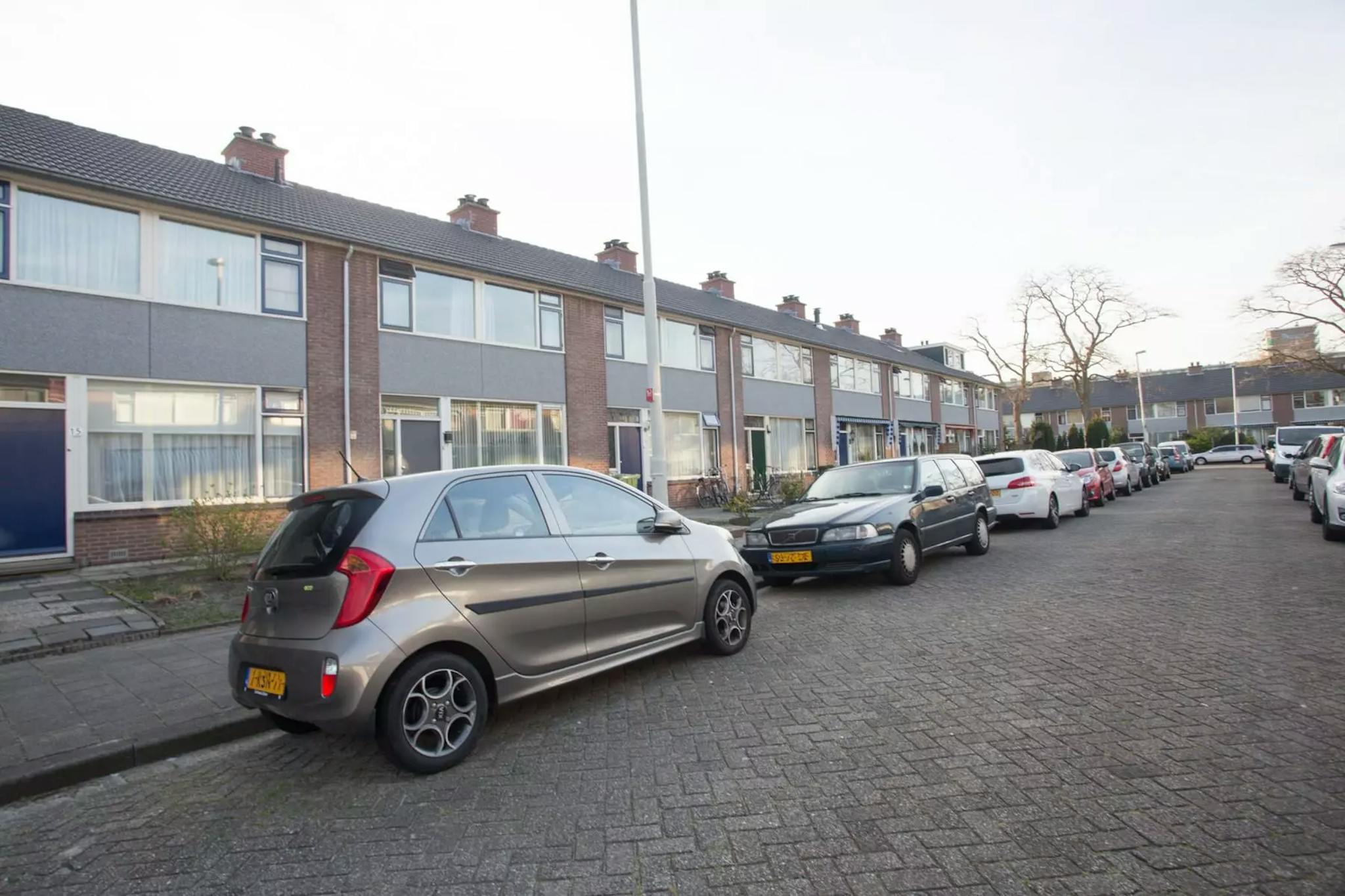 House, Buntgras, Rotterdam