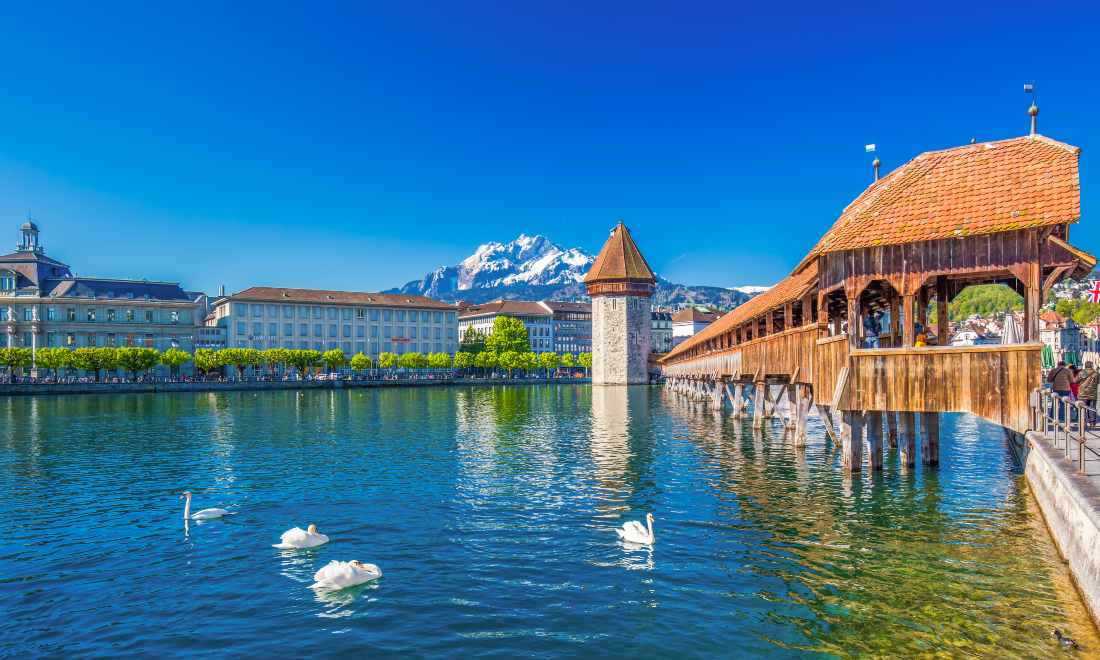 Which are the most (and least) popular large cities in Switzerland?