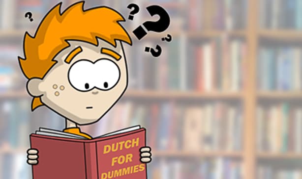 Invader Stu: Dutch for Beginners - A Warning
