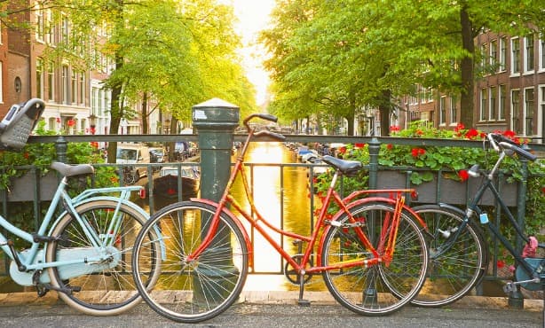 Amsterdam thieves stealing bikes by request