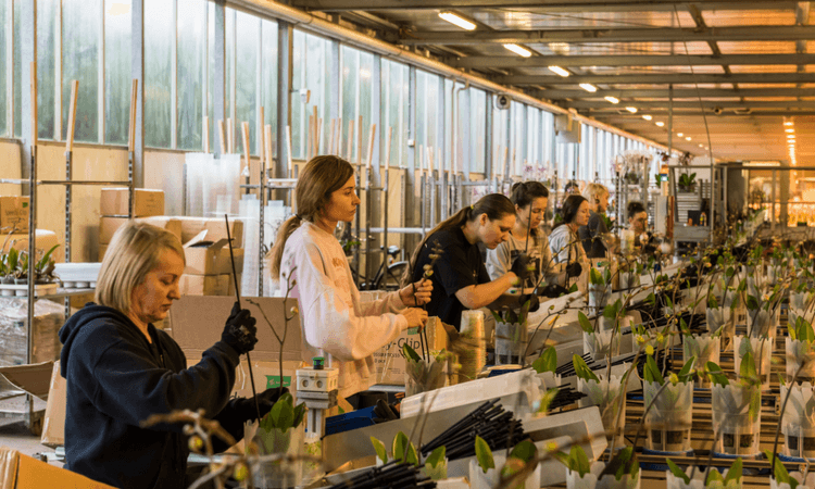 What the Dutch government’s budget means for your income in 2025