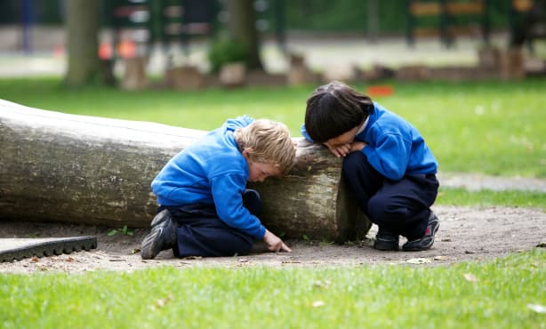 Leaves, logs and life skills