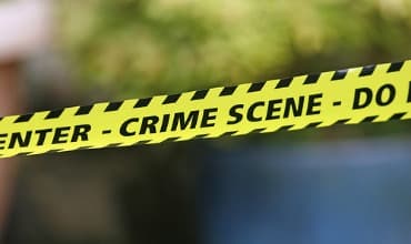 Dutch crime survey includes cybercrime for first time