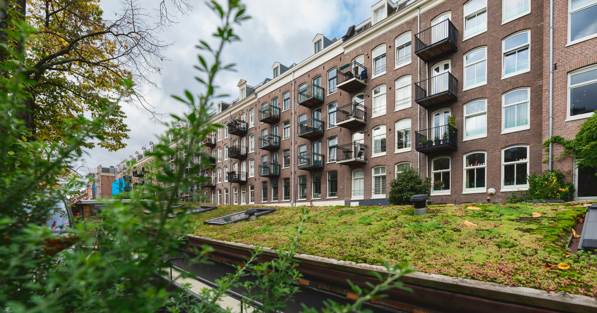 Amsterdam Adds 1.875 Social Rental Homes Since 2024