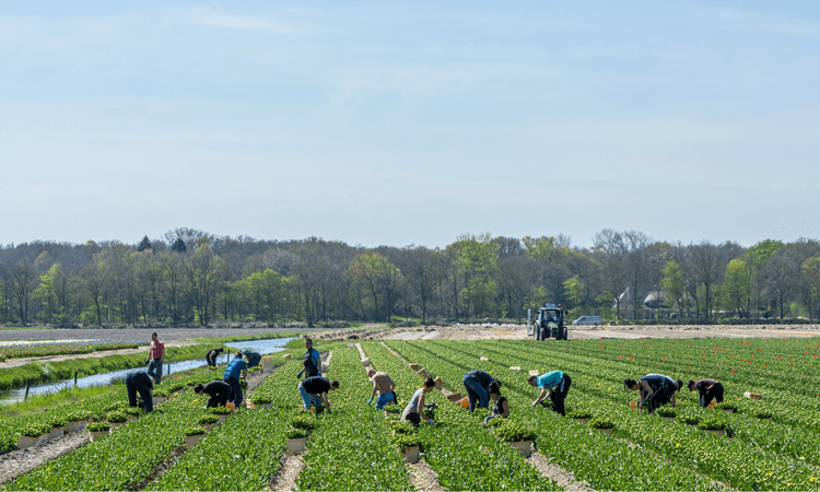 Dutch minister mulls additional measures against migrant worker exploitation