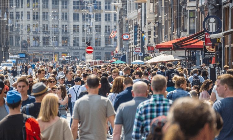 Dutch population growth in the Randstad dropped for 2024