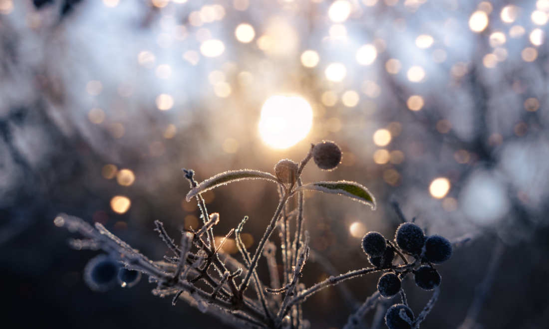 How Germany marks Thomastag, the shortest day of the year