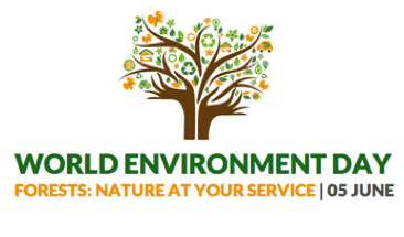 World Environment Day 2011