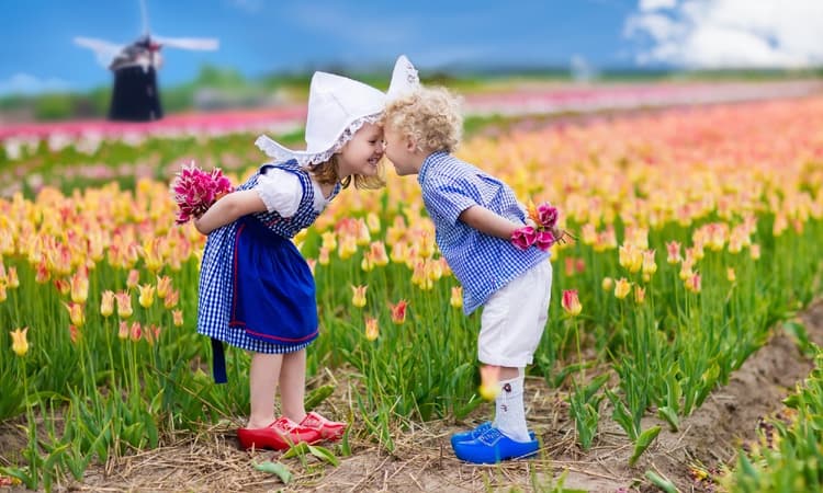 Taalthuis quiz: What do you know about the Netherlands and the Dutch language?