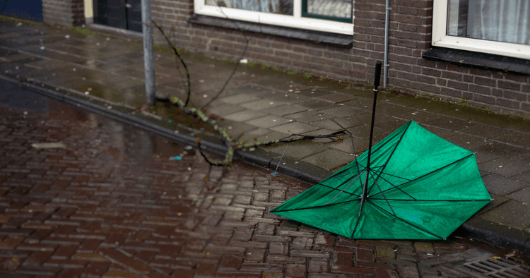 Chandra to Wubbo: These are the storm names the Netherlands chose