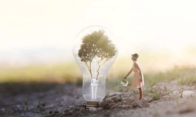 Want to make a green investment for your business? This is what you need to know