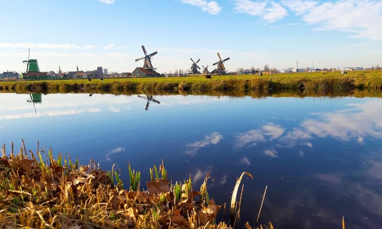 January 2020: Winter is nowhere to be seen in the Netherlands