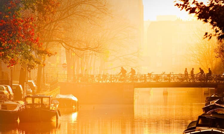 Top 10 points in a Dutch employment contract