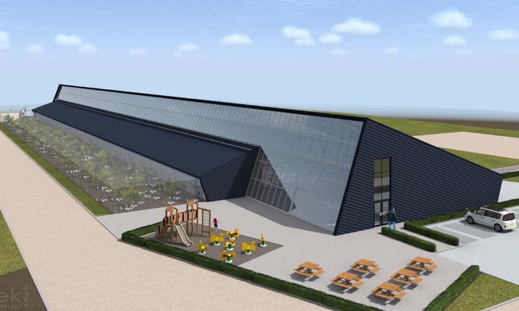 World’s first CO2-neutral chicken eggs laid in the Netherlands