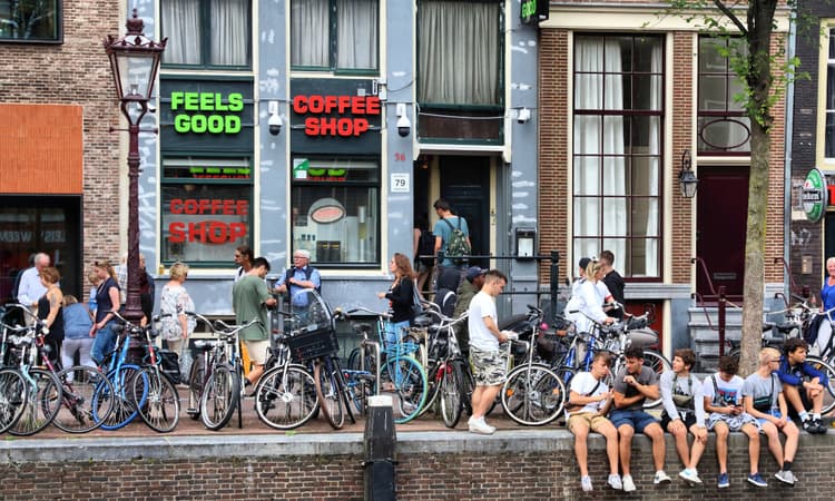 Not a single fine issued since the start of Amsterdam cannabis ban