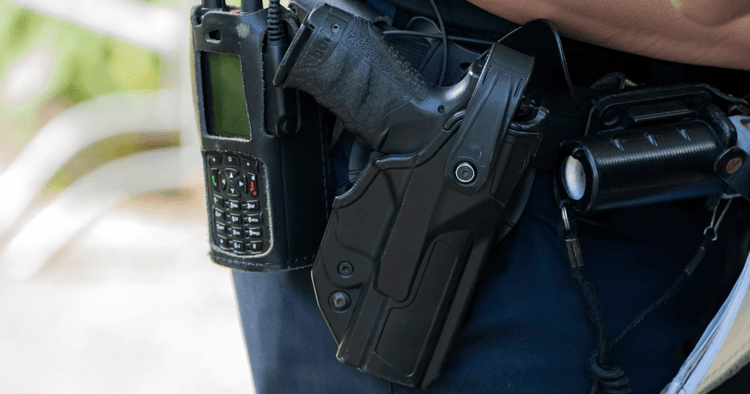Gun laws in the Netherlands