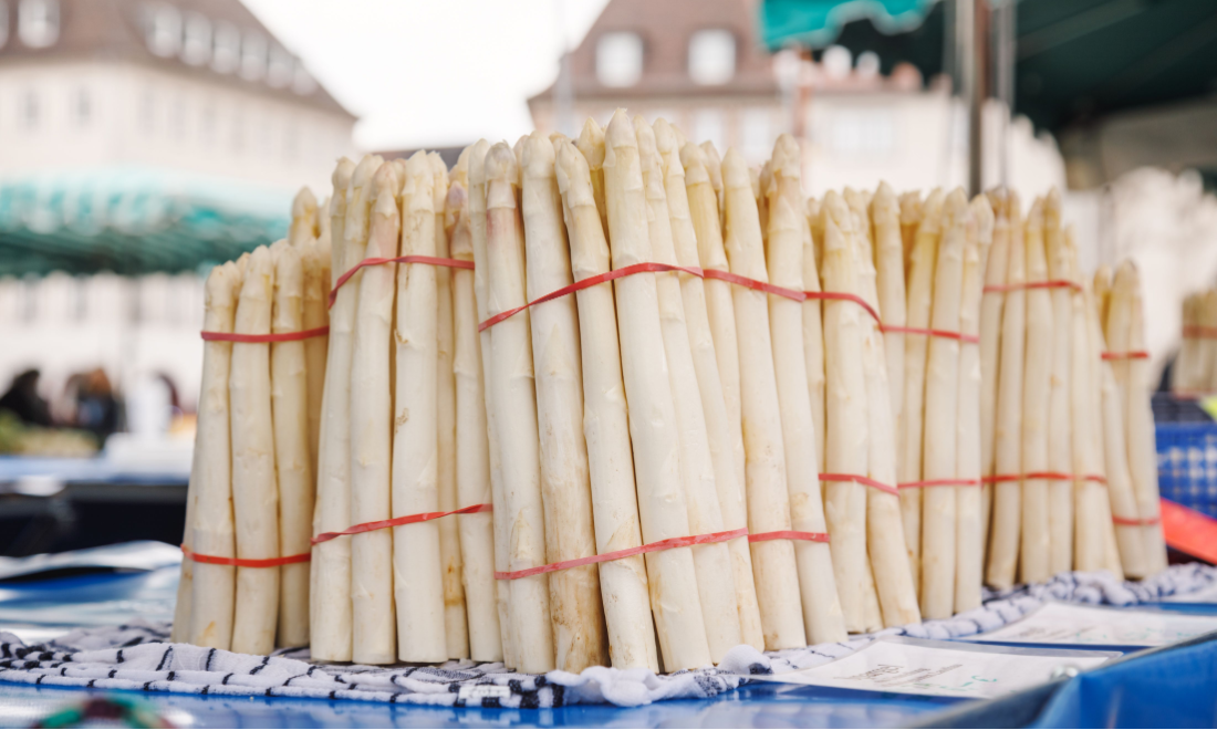 Wet weather shifts start and end of German asparagus season in 2024