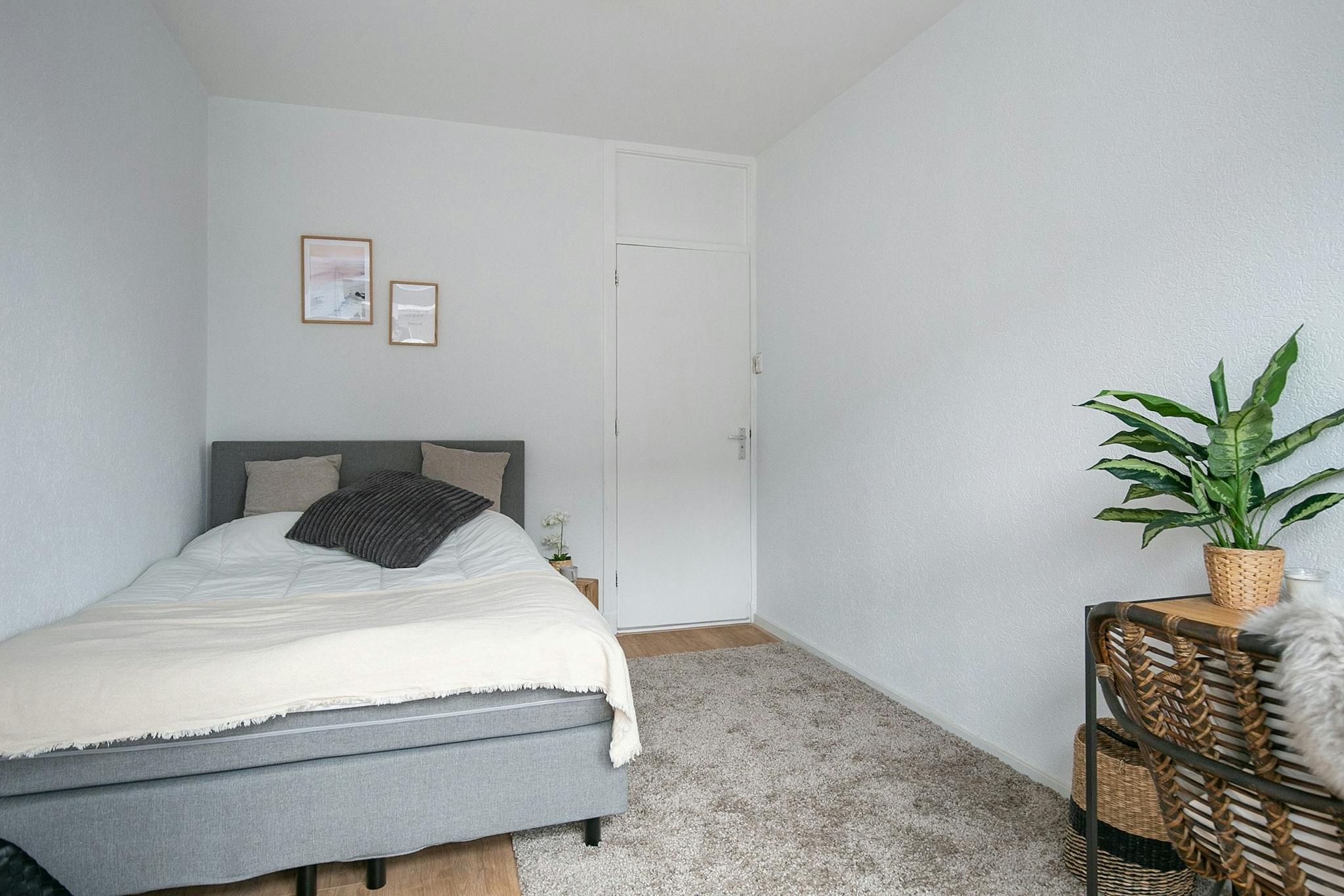 Apartment, Putsebocht, Rotterdam