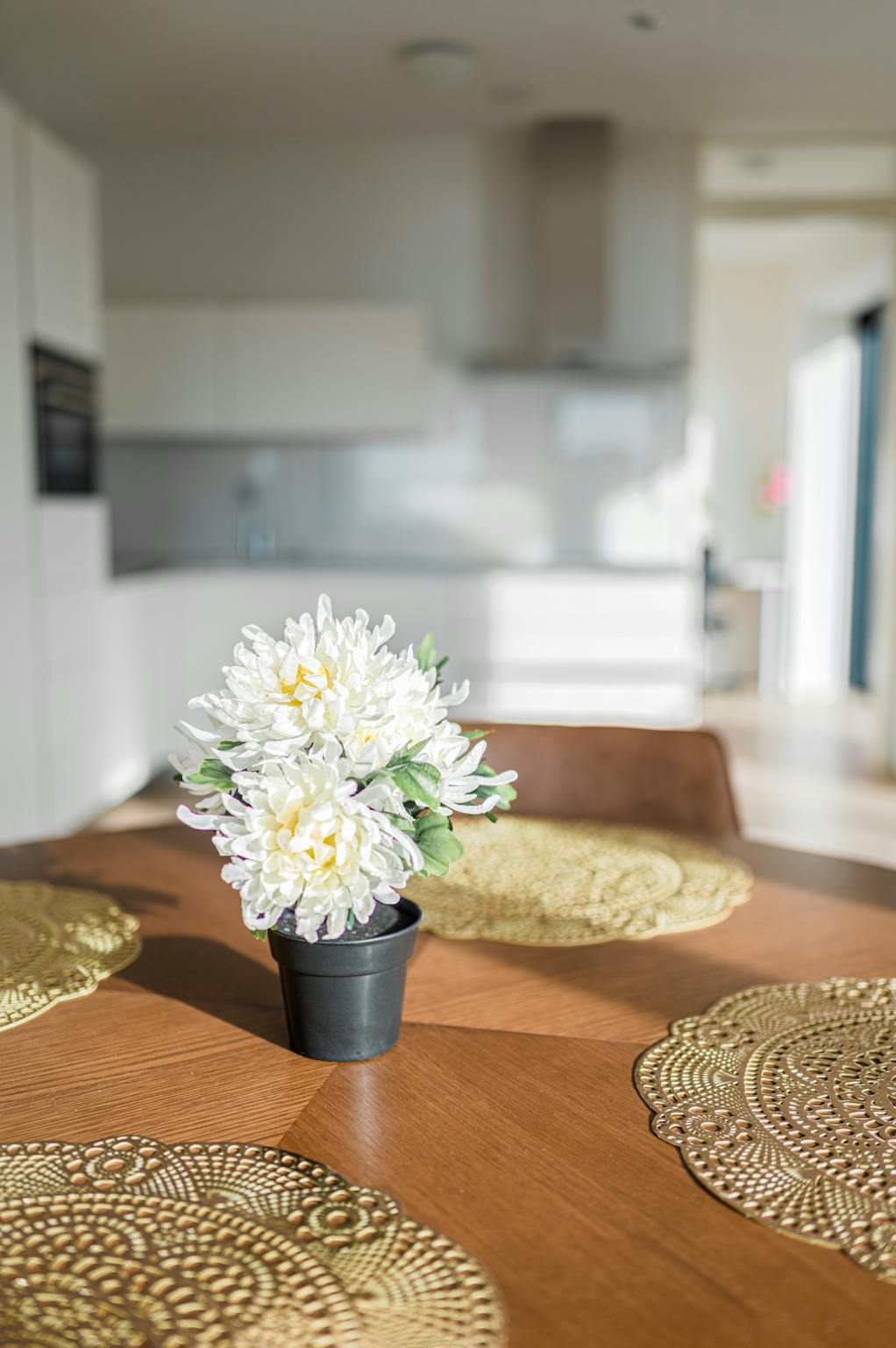 Apartment, Wijnbrugstraat, Rotterdam