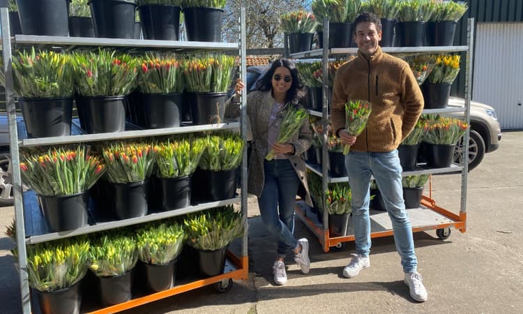 Thulpactie: Brightening up nursing homes with tulips
