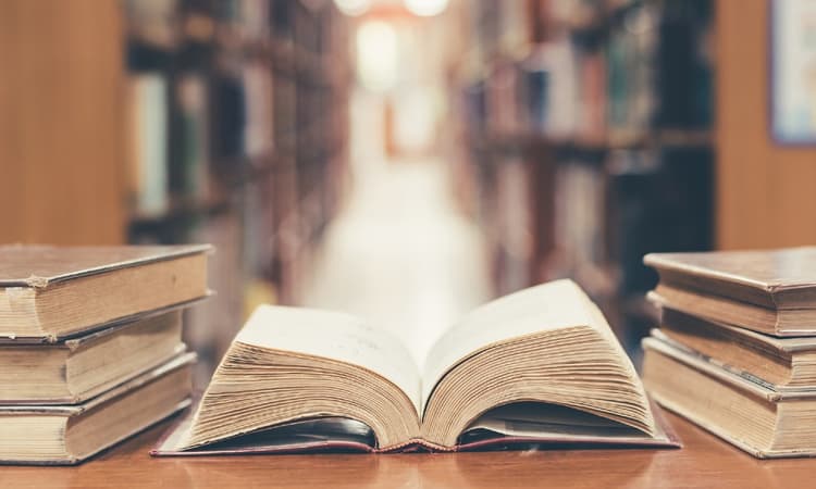 The results are in: This is the Netherlands’ word of the year 2019