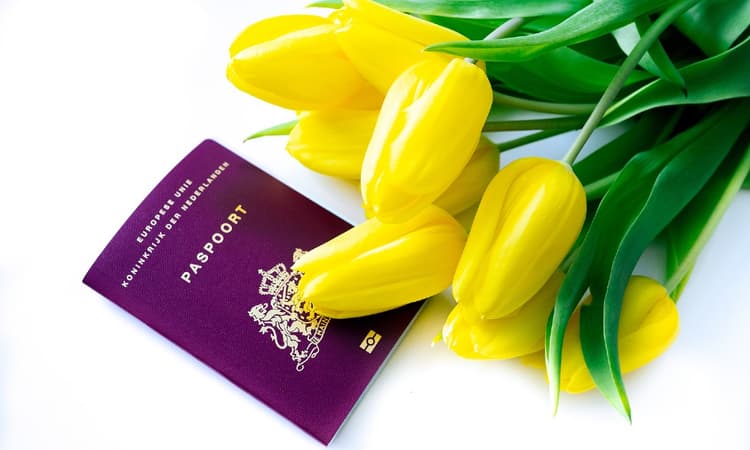 Dutch passport ranked as sixth-best in the world