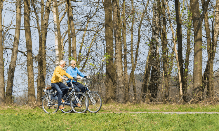 The Netherlands is the fifth-best in the world for retirement, study reveals