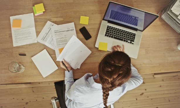 Dutch government to help small businesses grow