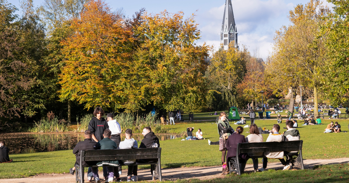 Mild autumn weather to warm the Netherlands with highs up to 18C this week