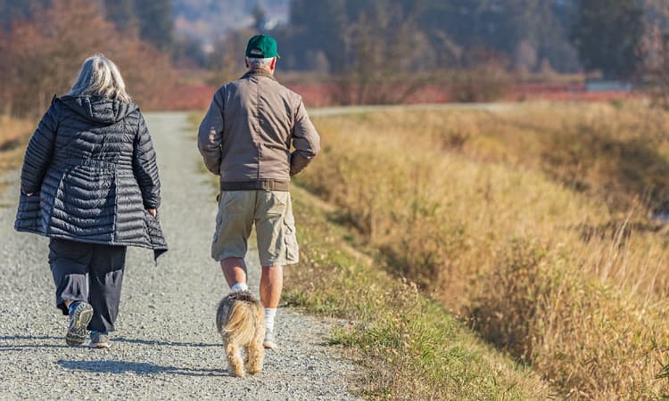 The Netherlands to raise retirement age to 67 years and 3 months