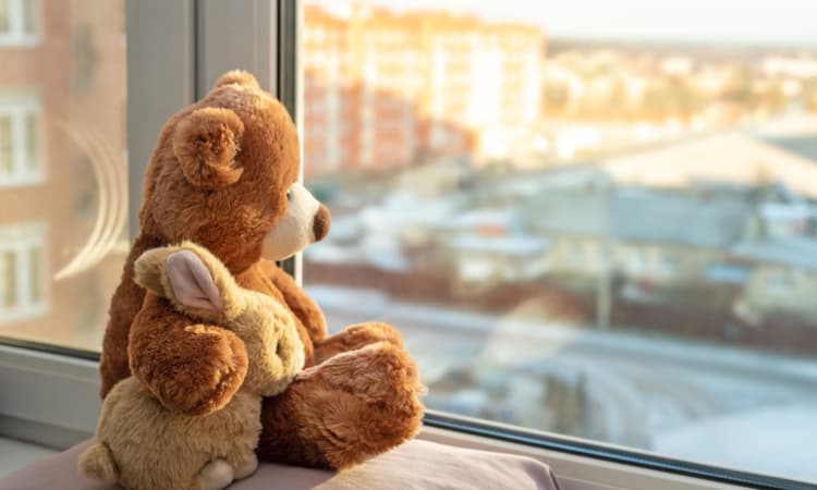 NS launches appeal to reunite lost cuddly toys with their owners