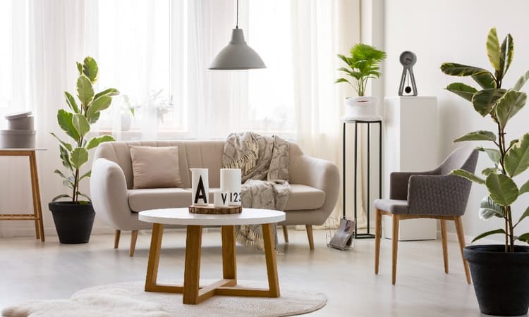 How to settle down hassle-free by renting furniture