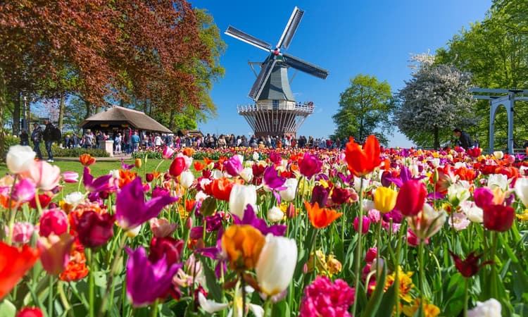 March 2023: 9 things expats in the Netherlands need to know 