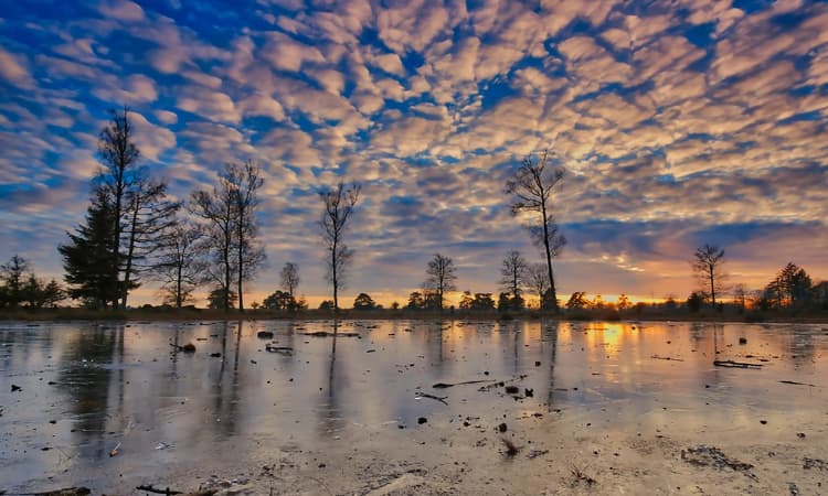 [Video] A frozen winter in the Netherlands