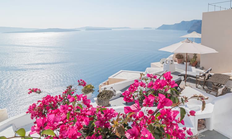 Swiss travellers told to swap beach holiday for Dutch city trip this summer